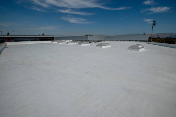 Best Steel Roofing  in Patterson Tract, CA